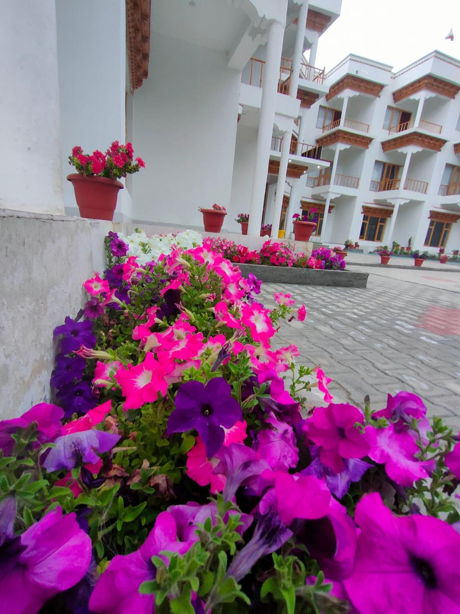 Hotel Ladakh Indus River Front Leh Exterior foto